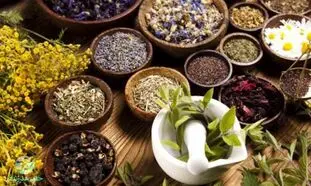بررسی وضعیت توسعه گیاهان دارویی در کشور