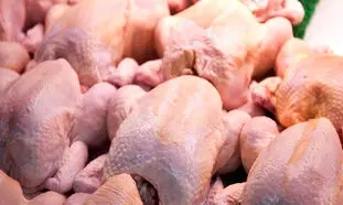 قیمت مرغ رکورد گرانی را شکست