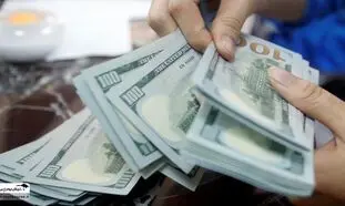 ترس صاحبان دلارهای خانگی از سیگنال های ریزش سنگین دلار