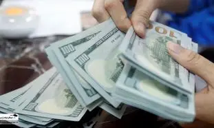 ترس صاحبان دلارهای خانگی از سیگنال های ریزش سنگین دلار