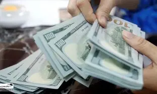 ترس صاحبان دلارهای خانگی از سیگنال های ریزش سنگین دلار