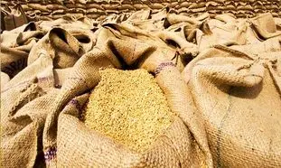 کاهش شدید واردات نهاده های دامی