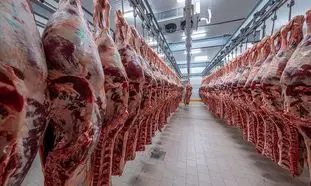 قیمت گوشت گوساله ۱۴۰ هزار تومان مناسب است!