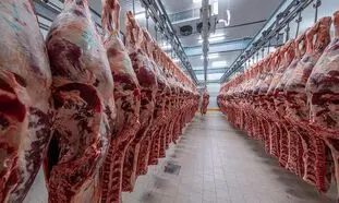 قیمت گوشت گوساله ۱۴۰ هزار تومان مناسب است!