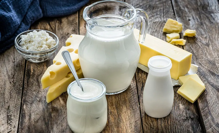 چشم انداز آینده شرکتهای لبنی در ایران