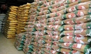 برنج ارزان می شود؟