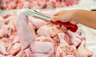 قیمت مرغ فعلا ارزان نمی شود