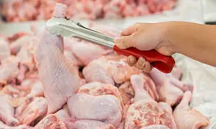 قیمت مرغ فعلا ارزان نمی شود