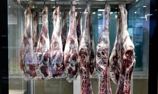 قیمت گوشت قرمز ارزان می شود