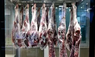 قیمت گوشت قرمز ارزان می شود