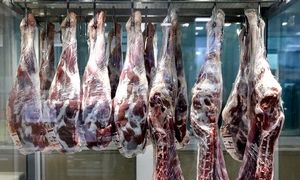 قیمت گوشت قرمز ارزان می شود