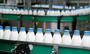 شیر گران می‌شود؟