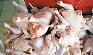 مرغ باز هم گران می شود