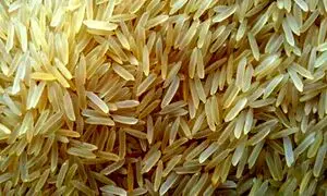برنج خارجی ارزان نشد