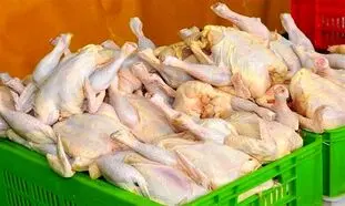 مرغ 30 هزار تومانی گران فروشی است