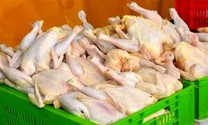 مرغ 30 هزار تومانی گران فروشی است