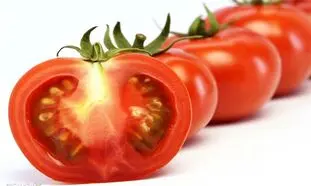 قیمت گوجه فرنگی هر روز گران تر از دیروز