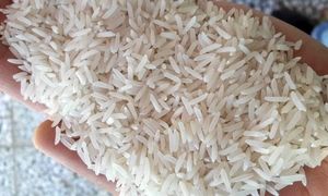 برنج به قیمت کمتر از 20 هزار تومان به بازار می آید