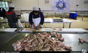 مرغ هفته بعد ارزان می شود