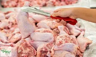 مرغ چقدر ارزان می شود؟