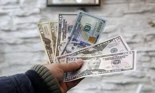 دلار 24800 تومانی ؛ سنگر جدید دلالان میدان فردوسی