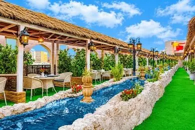 رونمایی از جشنواره پاییزه ارکیده