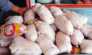 آغاز فروش مرغ به قیمت 18 هزار و 500 تومان در فروشگاه‌های زنجیره‌ای