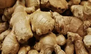 250 هزار تومان برای خرید یک کیلو زنجبیل لاکچری!