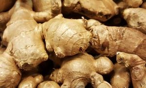 250 هزار تومان برای خرید یک کیلو زنجبیل لاکچری!