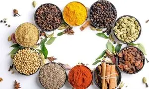 آغاز مسابقه ترخینه با اهدای جایزه