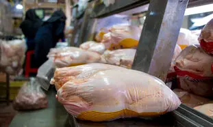 چرا مصرف مرغ بالای 1 کیلو و 800 گرم زیان آور است؟