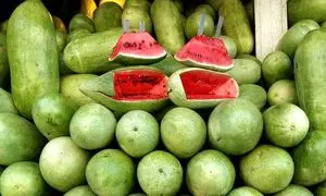 قیمت هندوانه و انار شب یلدا چند؟