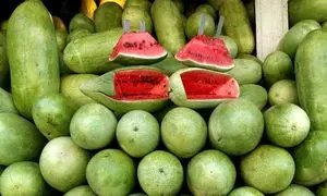 قیمت هندوانه و انار شب یلدا چند؟