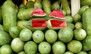 قیمت هندوانه و انار شب یلدا چند؟