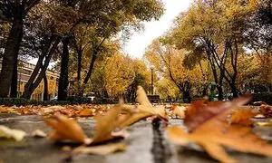 نخستین مسابقه عکاسی «برگریزان تهران»