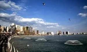 تمساح دریاچه چیتگر لاک پشت بود!