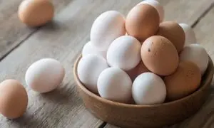 تخم مرغ ارزان می‌شود
