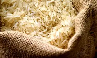 برنج هندی کیلویی 20 هزارتومان / کاهش 50 درصدی واردات برنج