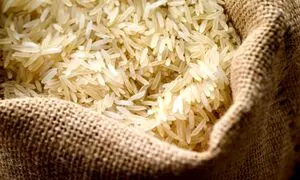 برنج هندی کیلویی 20 هزارتومان / کاهش 50 درصدی واردات برنج