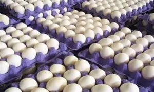 ارزش یارانه ۴۵۵۰۰ تومانی به اندازه یک شانه تخم مرغ