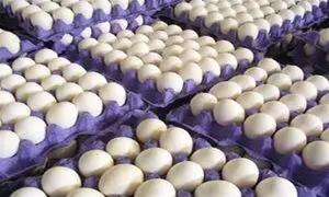 ارزش یارانه ۴۵۵۰۰ تومانی به اندازه یک شانه تخم مرغ
