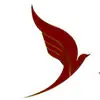 هواپیمایی وارش