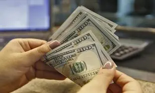 دلار آماده سقوط در این هفته است/ هراس دلالان از 3 عامل کاهشی قیمت ارز