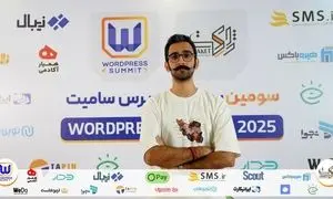 توسعه‌دهندگان وردپرس و وب‌مسترها؛ از مهم‌ترین ذی‌نفعان تاپین 