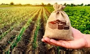 شرایط دریافت وام ویژه 200 میلیون تومانی بانک کشاورزی