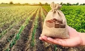 شرایط دریافت وام ویژه 200 میلیون تومانی بانک کشاورزی