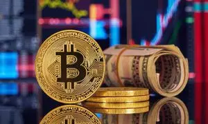 مقایسه تعداد کاربران صرافی‌های ارز دیجیتال؛ خارجی و ایرانی