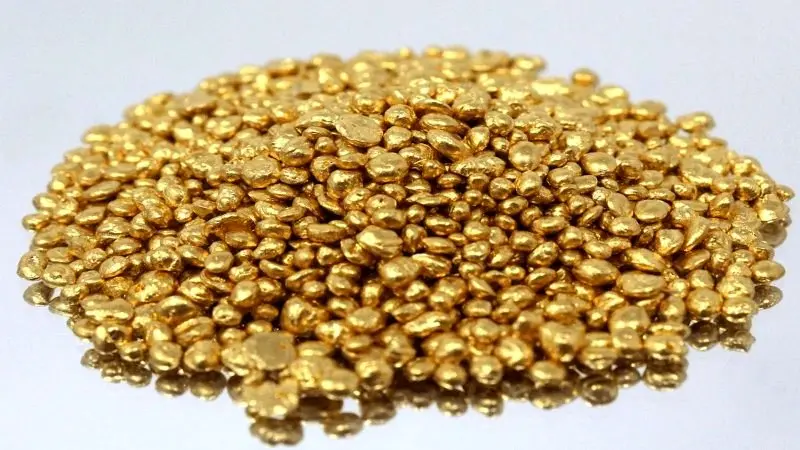 داریک به مناسبت روز دانشجو هدیه طلا می‌دهد