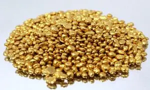 داریک به مناسبت روز دانشجو طلا هدیه می‌دهد