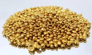 داریک به مناسبت روز دانشجو هدیه طلا می‌دهد